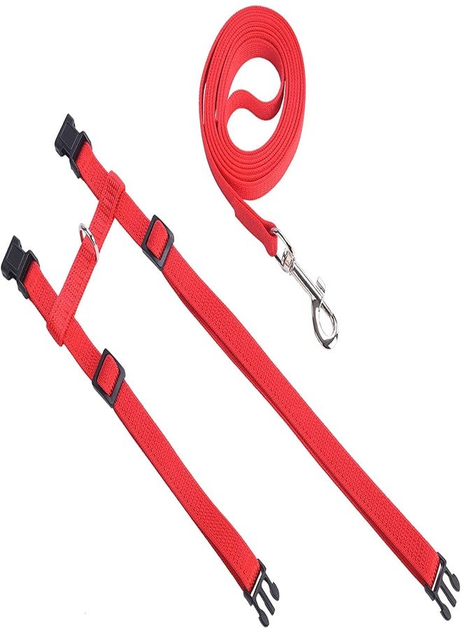 Pups&Pets 1Pc Cat Collars with Bow Tie and Bell 1Pc Cat Body Harness Leash Nylon Set 10mm Adjustable Puppy Kitten Or Certain Puppies Necktie Collar, Pack of 2 (Mult Color) - Image 5